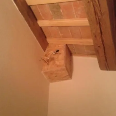 Gospodarstwo wiejskie Agrituristico Conte Ottelio Pradamano