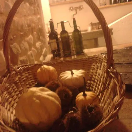 Casa di campagna Agrituristico Conte Ottelio Pradamano